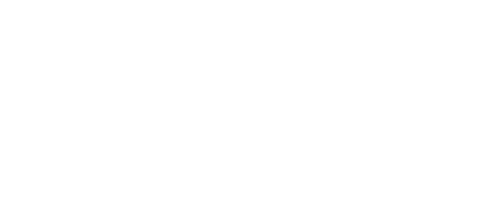 zeca baleiro (1)